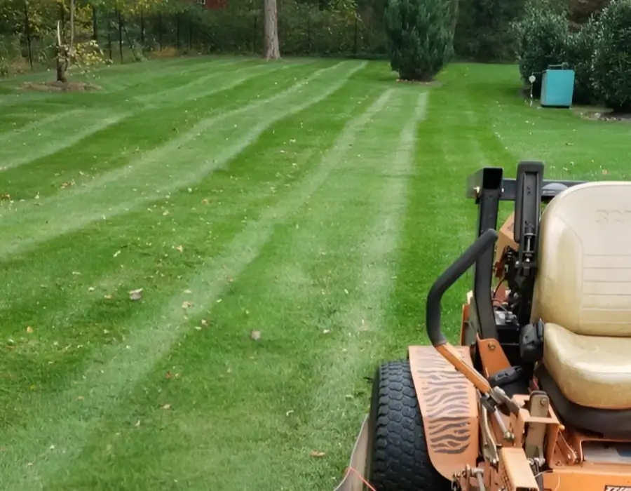 Professional Tree Service in Mendham, NJ Tree Company in Mendham, NJ