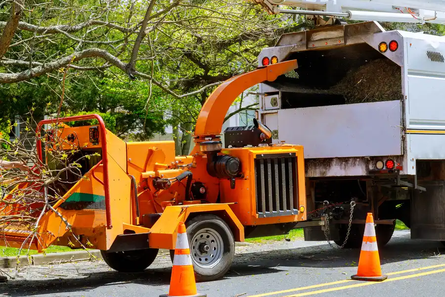 How Tree Removal Prevents Property Damage Mendham, NJ How Tree Removal Prevents Property Damage Mendham, NJ