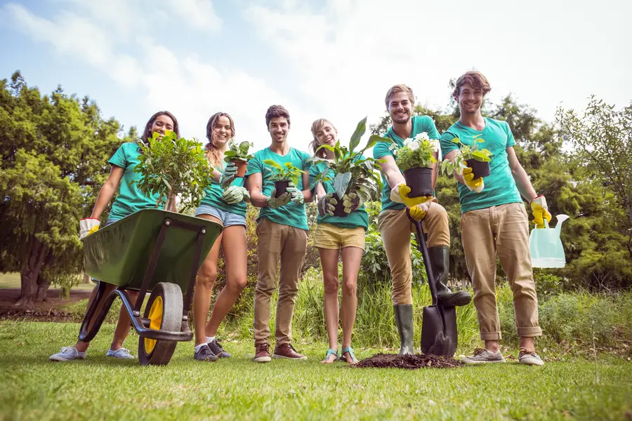 The Role Of Tree Services In Storm Damage Prevention Mendham, NJ The Role Of Tree Services In Storm Damage Prevention Mendham, NJ